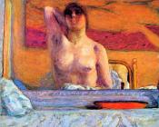 皮耶 勃纳尔 : The Fireplace